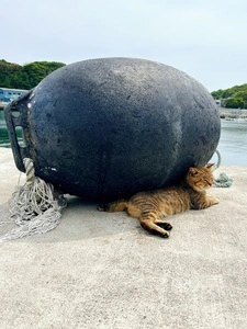 田代島
