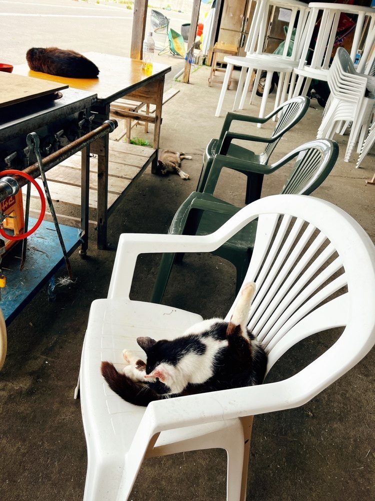 猫なぎ。さんが投稿した田代島に関する口コミの画像