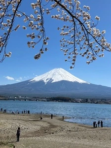 河口湖一帯