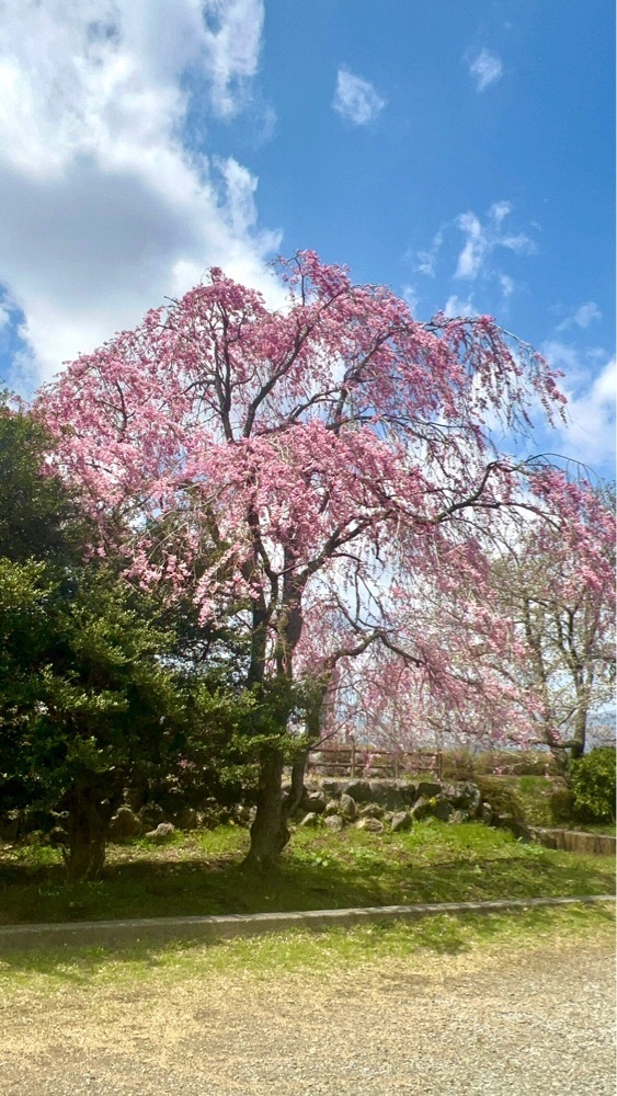ビンカさんが投稿した日本ＹＭＣＡ同盟東山荘に関する口コミの画像