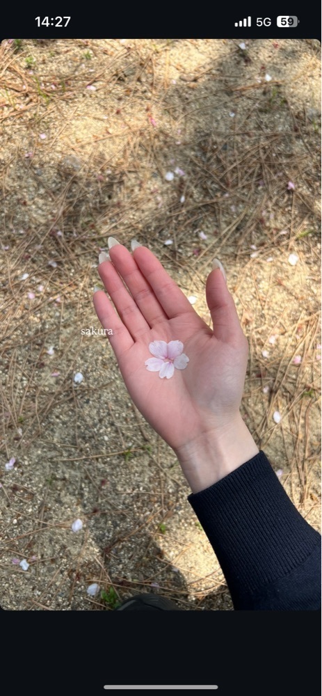 pyonpyono3さんが投稿した須磨浦公園に関する口コミの画像