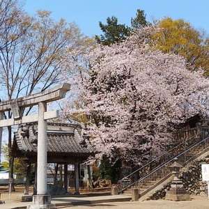 富士浅間神社