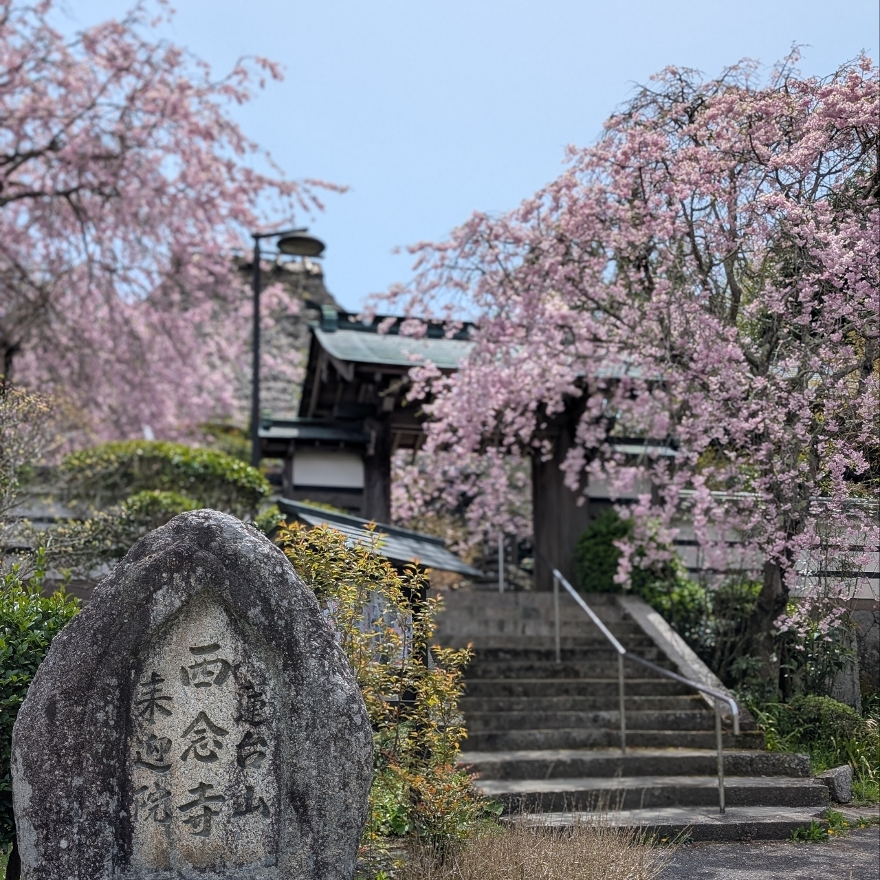 ぬっくさんが投稿した春日台カントリークラブに関する口コミの画像