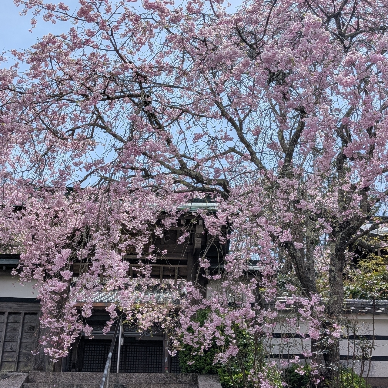 ぬっくさんが投稿した春日台カントリークラブに関する口コミの画像
