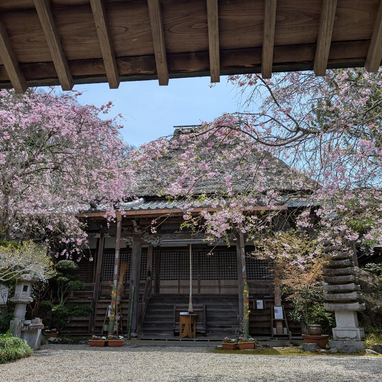 ぬっくさんが投稿した春日台カントリークラブに関する口コミの画像