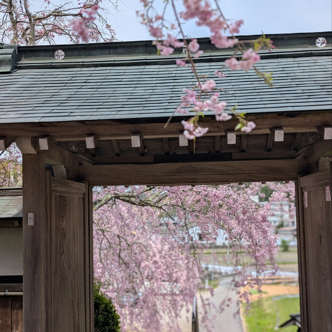 ぬっくさんが投稿した春日台カントリークラブに関する口コミの画像
