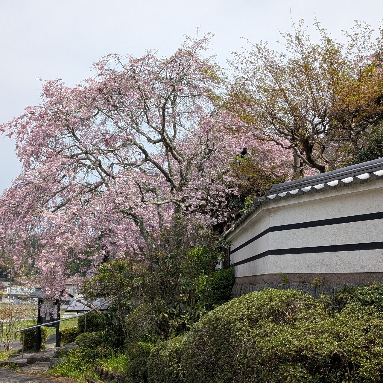 ぬっくさんが投稿した春日台カントリークラブに関する口コミの画像