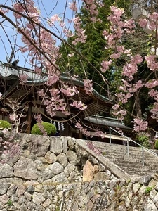 夫婦木神社