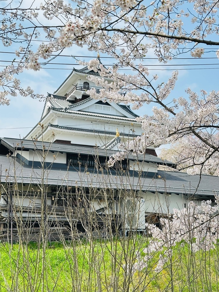 みいちゃんさんが投稿した月岡公園に関する口コミの画像