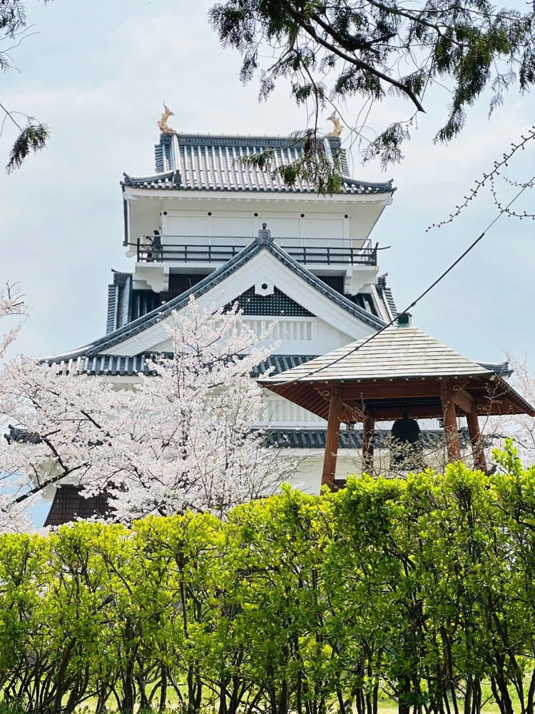 みいちゃんさんが投稿した月岡公園に関する口コミの画像
