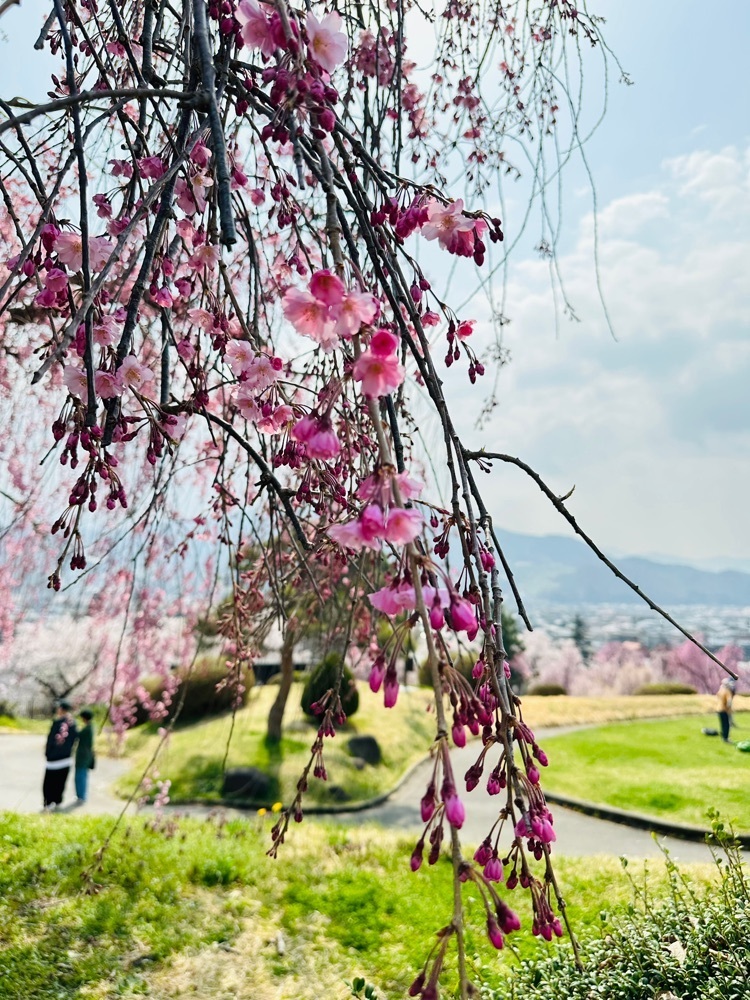 みいちゃんさんが投稿した月岡公園に関する口コミの画像