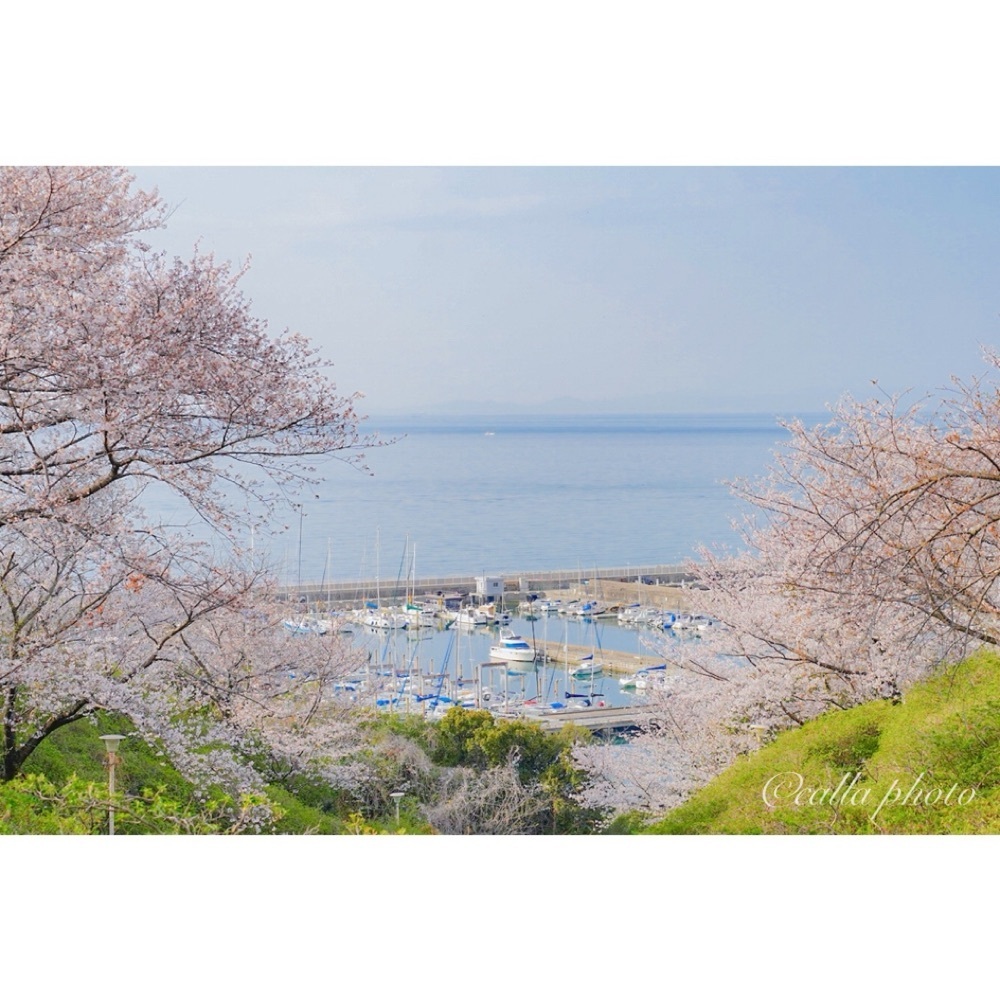 urban_garden_243aさんが投稿したあたご山に関する口コミの画像