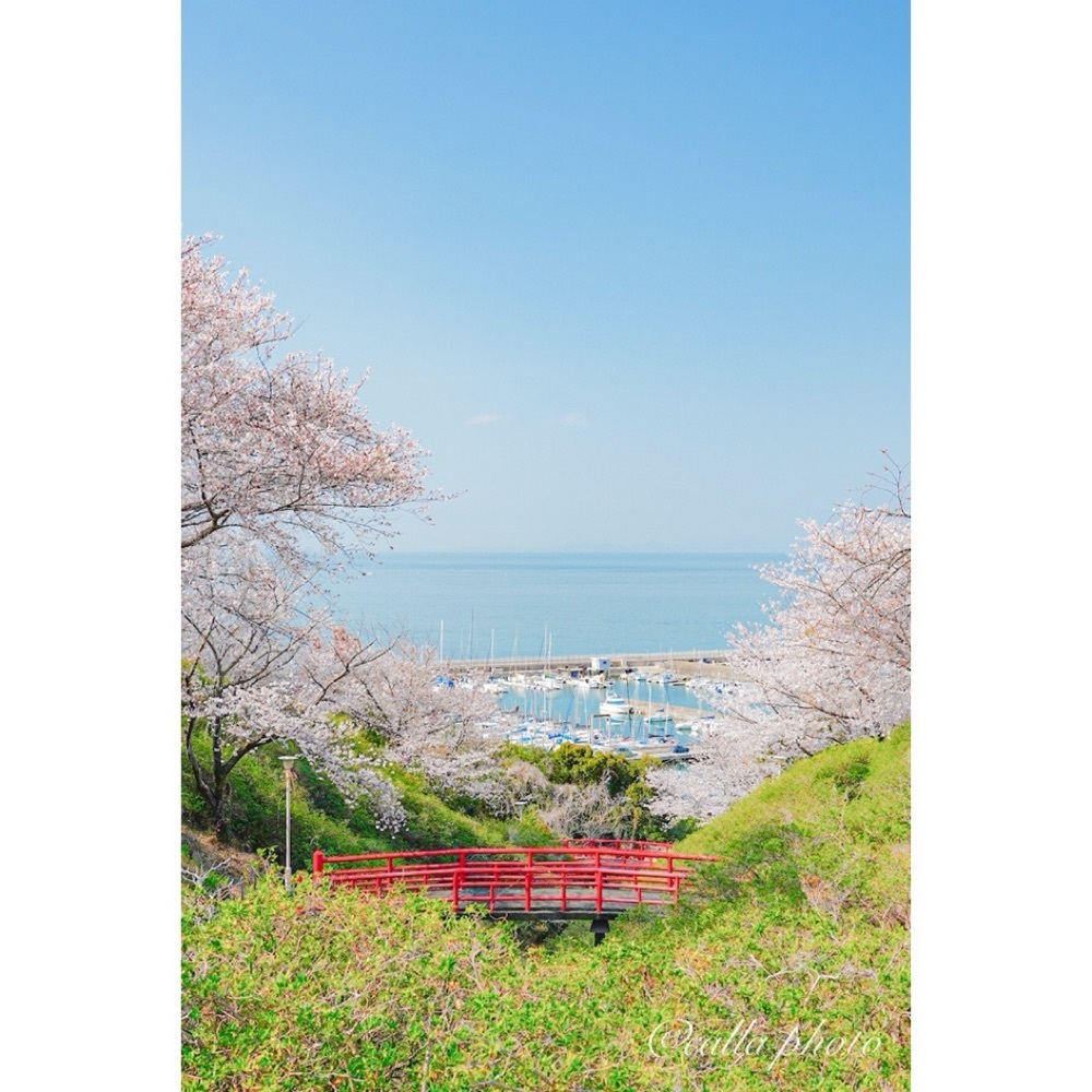 urban_garden_243aさんが投稿したあたご山に関する口コミの画像