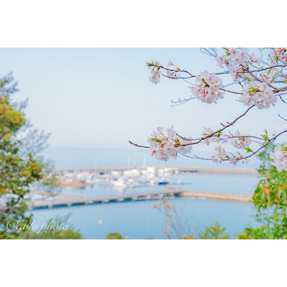 urban_garden_243aさんが投稿したあたご山に関する口コミの画像