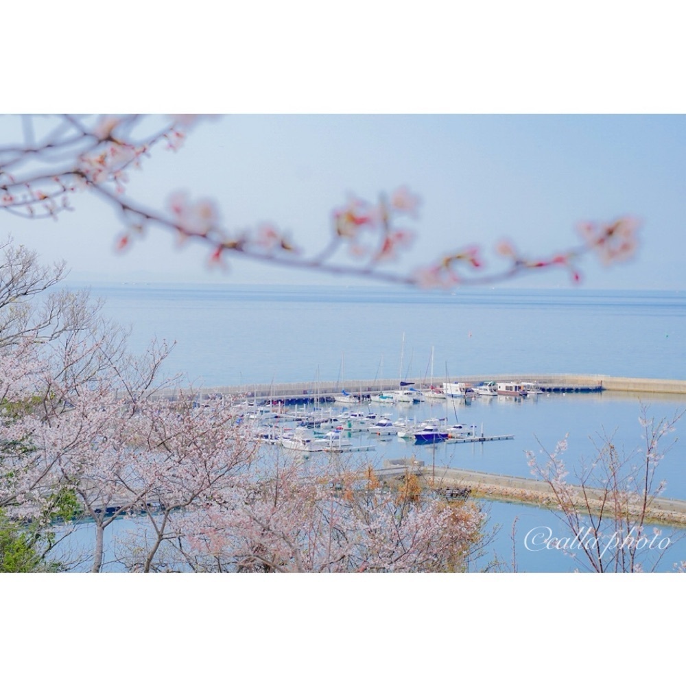 urban_garden_243aさんが投稿したあたご山に関する口コミの画像