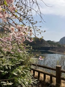 荒川ダム