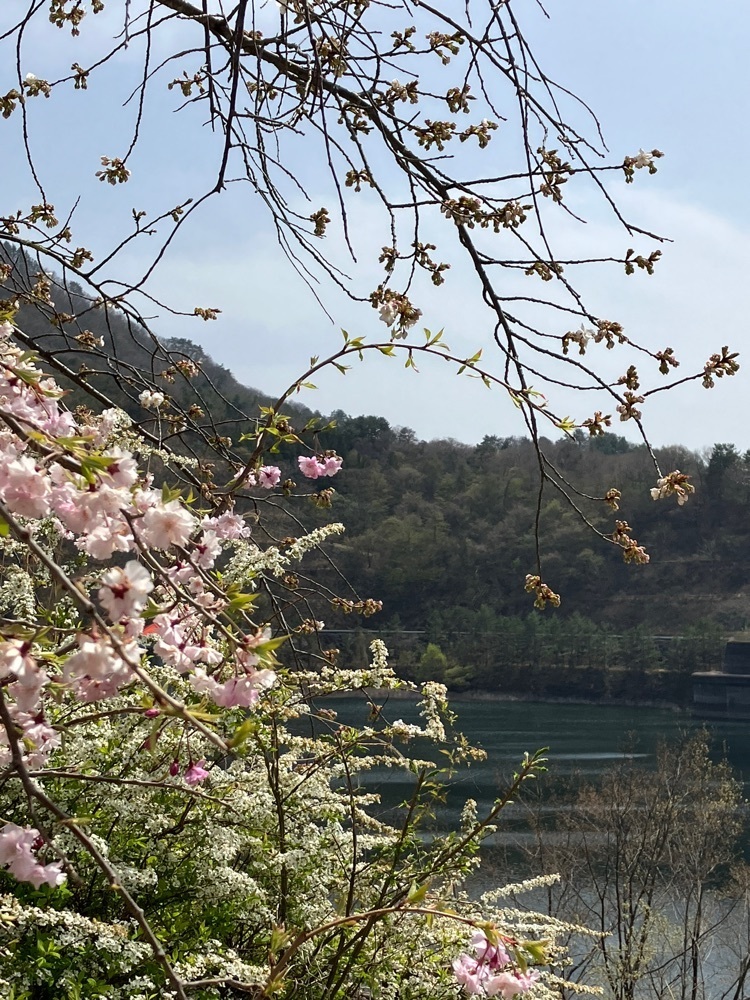 Nさんが投稿した荒川ダムに関する口コミの画像