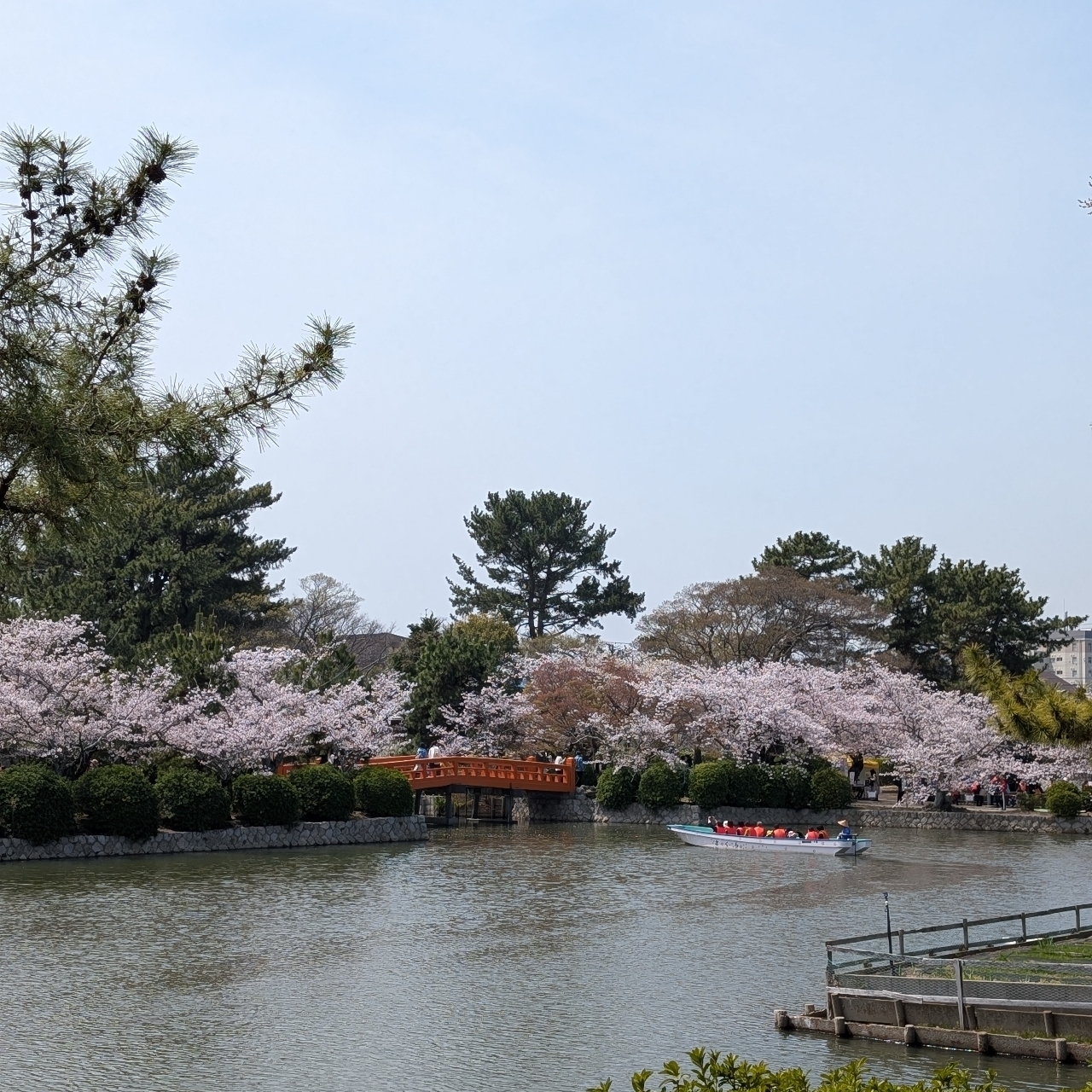 ぬっくさんが投稿した桑名城址（九華公園）に関する口コミの画像