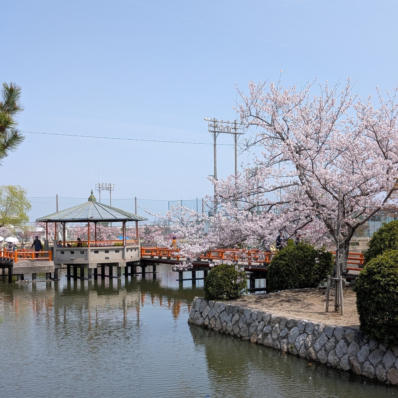 ぬっくさんが投稿した桑名城址（九華公園）に関する口コミの画像