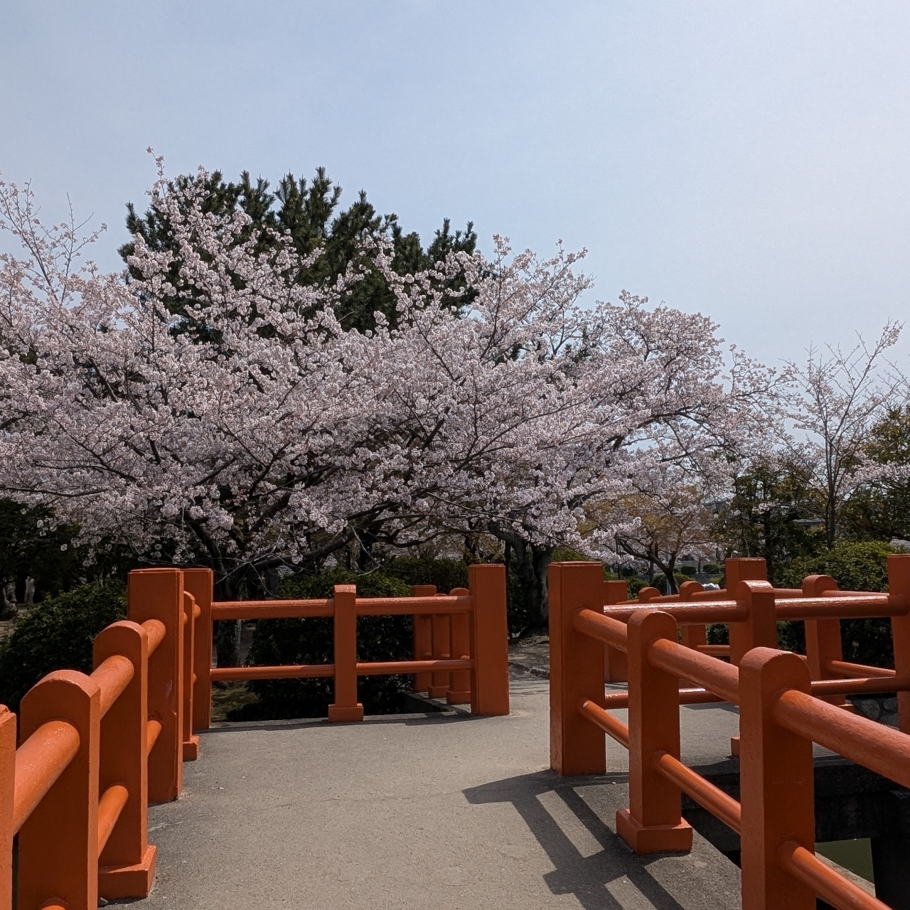 ぬっくさんが投稿した桑名城址（九華公園）に関する口コミの画像