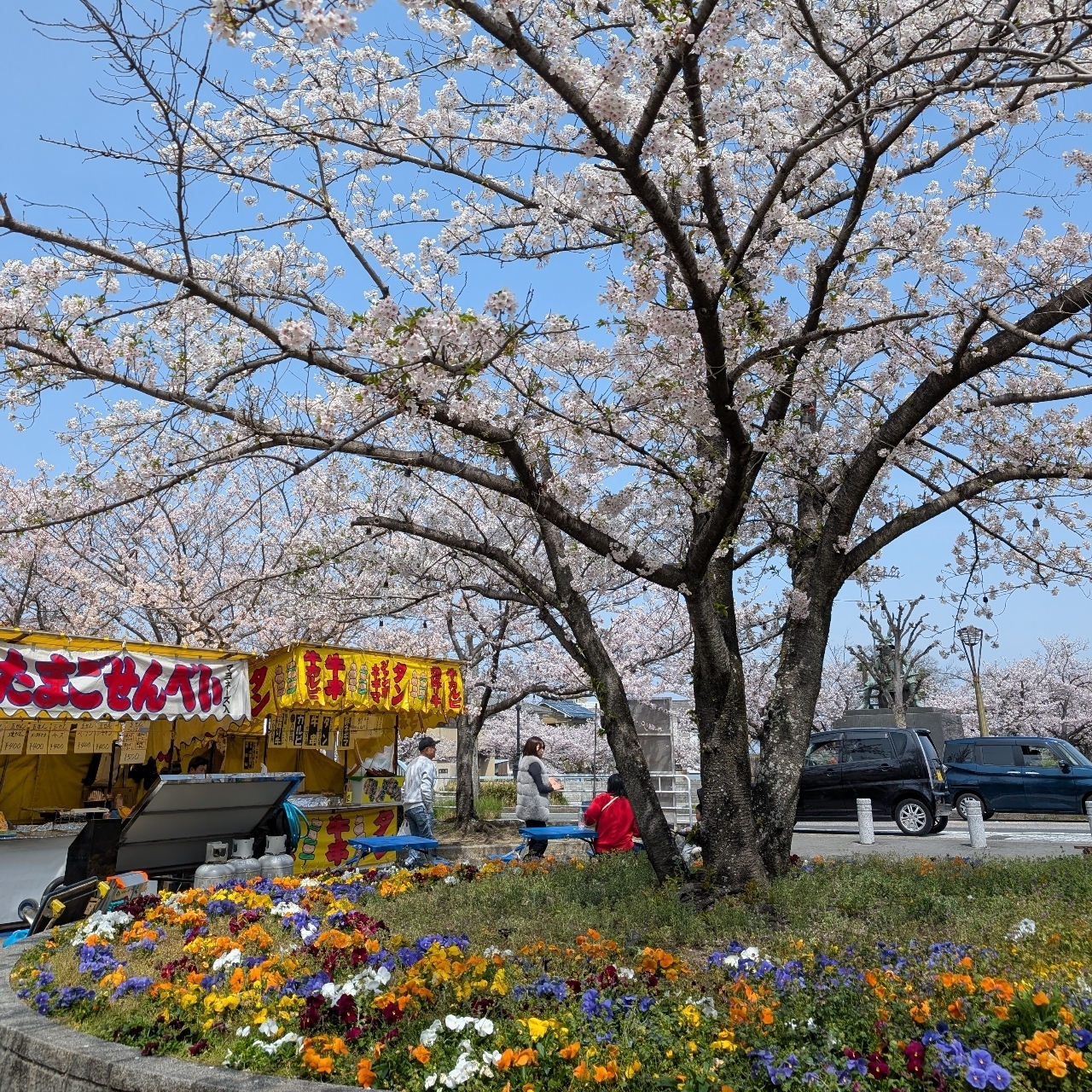 ぬっくさんが投稿した桑名城址（九華公園）に関する口コミの画像
