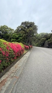 竹橋