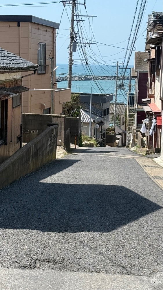 たか富山人さんが投稿した鯖と創作料理の店 廣半（ヒロハン）に関する口コミの画像