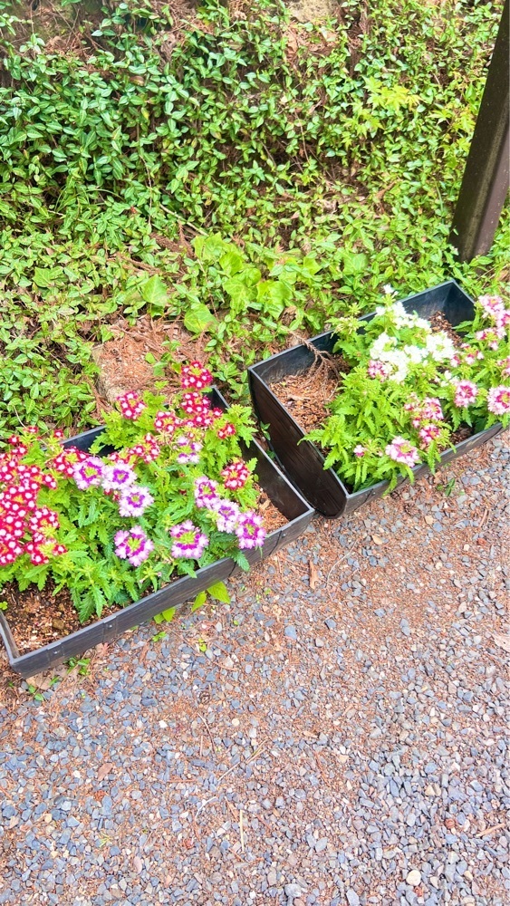 miiさんが投稿した桶釜神社に関する口コミの画像