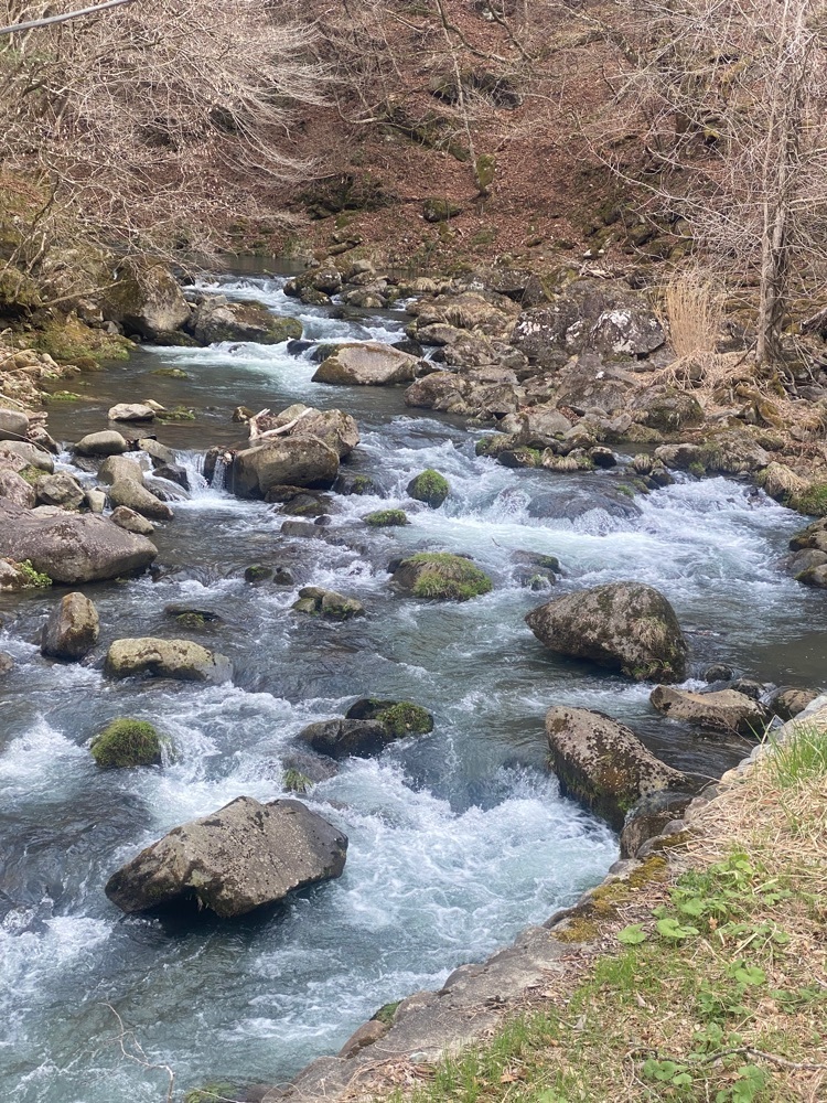かよこさんが投稿した秘湯の宿　元泉館に関する口コミの画像