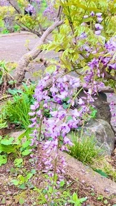 赤見温泉フィッシングフラワーパーク