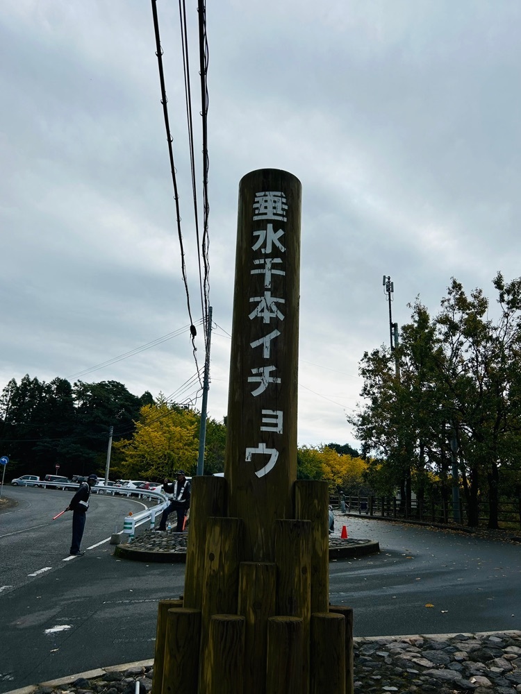cool_village_20d2さんが投稿した垂水千本イチョウ園に関する口コミの画像