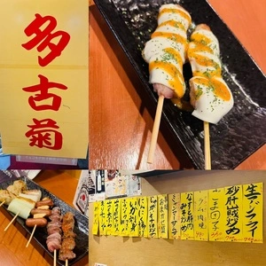 多古菊