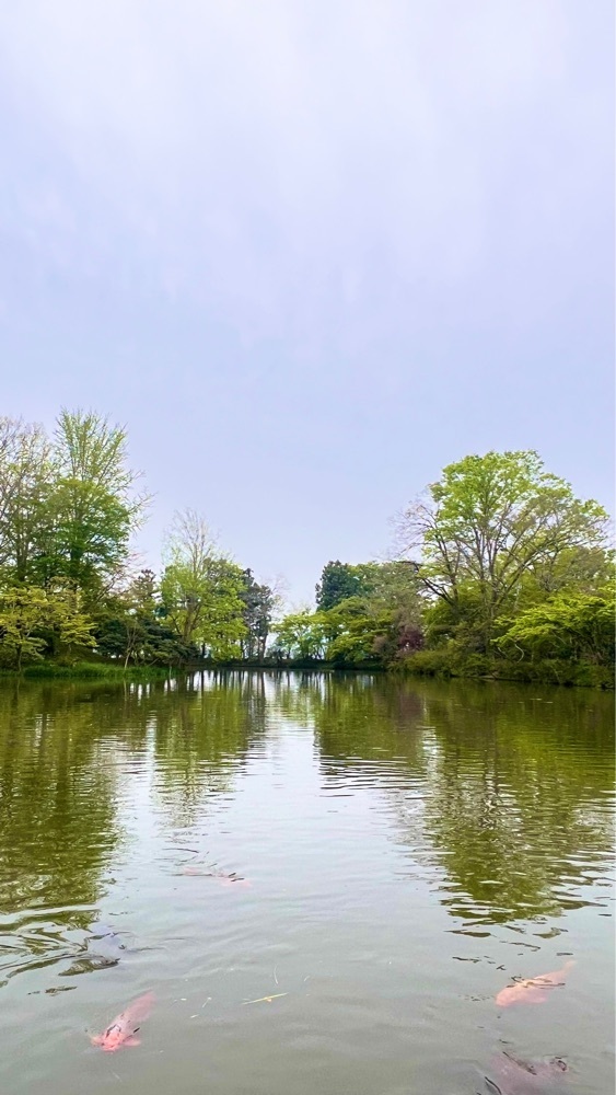 miiさんが投稿した赤見温泉フィッシングフラワーパークに関する口コミの画像