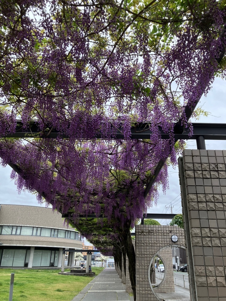Nさんが投稿した甲府市立図書館に関する口コミの画像