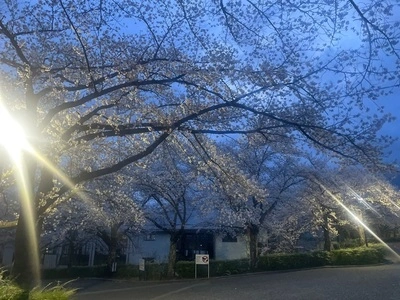 東御中央公園