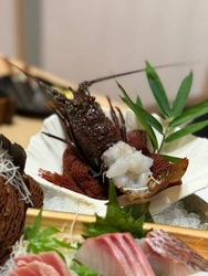 写真2枚目