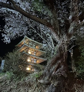 安達ヶ原の「黒塚」