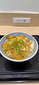 吉野家 小田急大和駅前店