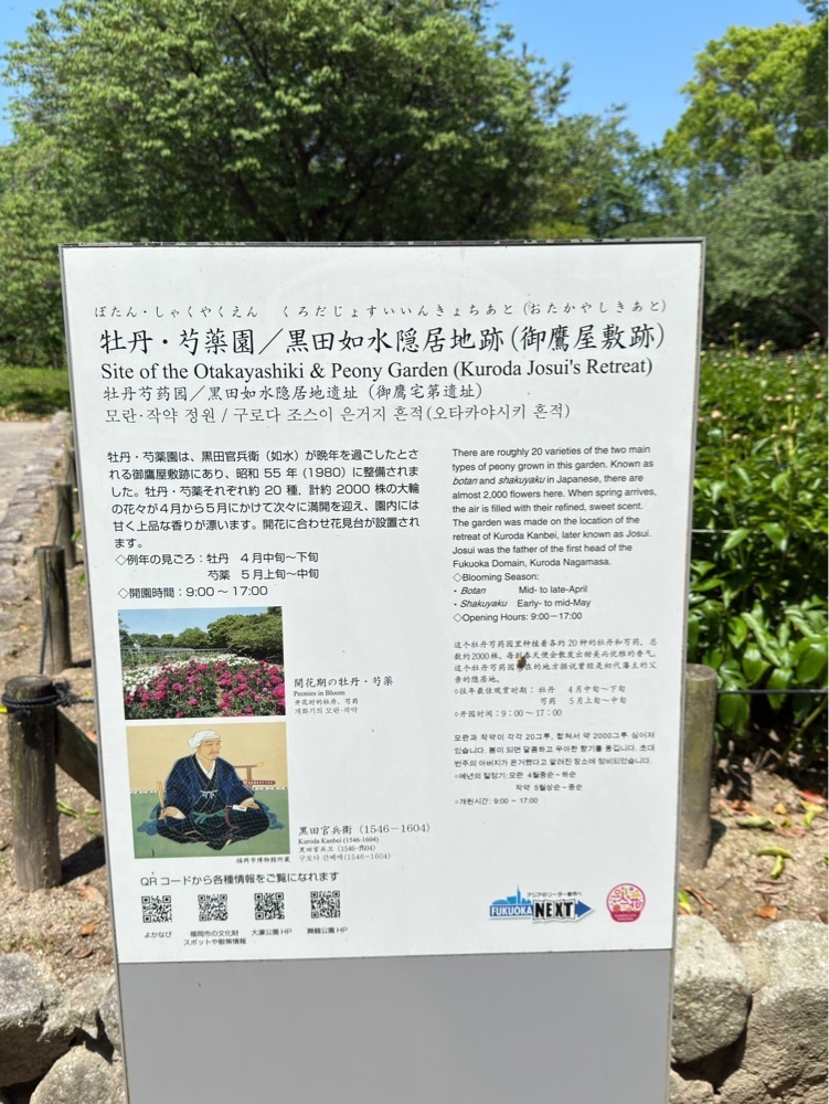 surumeさんが投稿した福岡城趾に関する口コミの画像