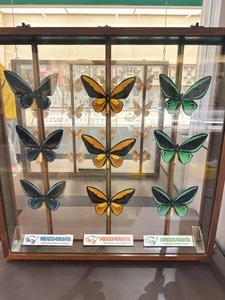 昆陽池公園