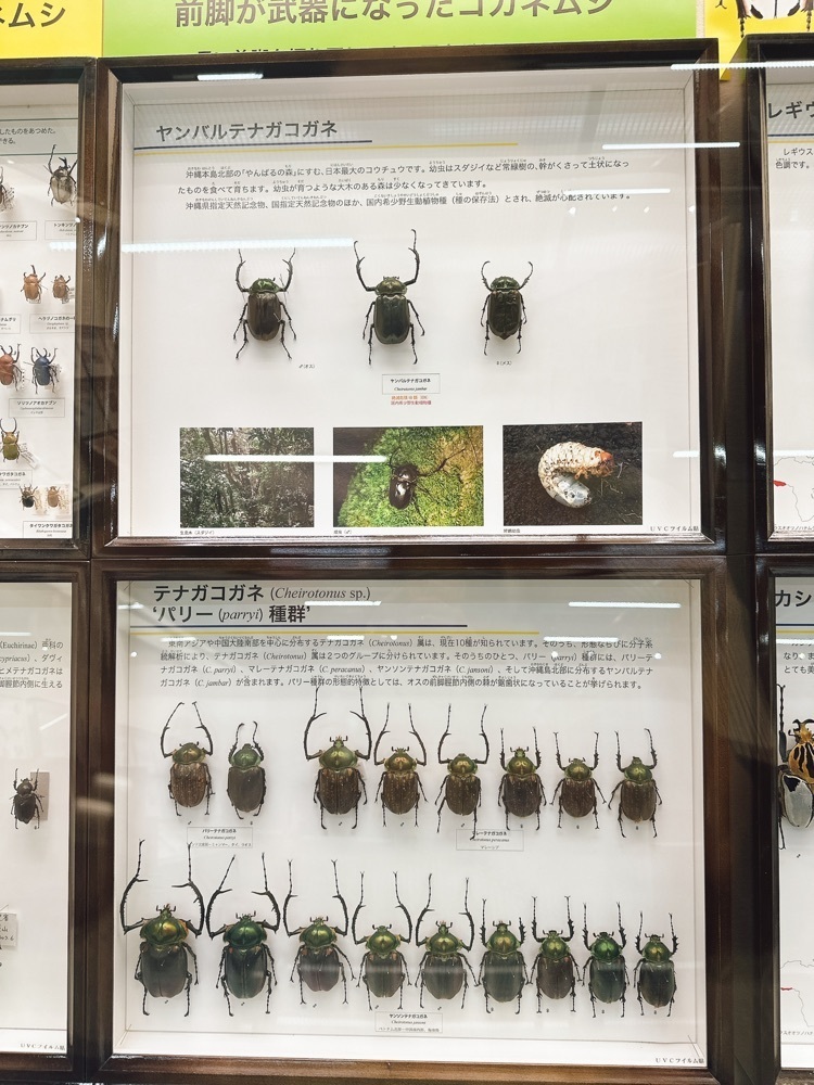 stealthさんが投稿した昆陽池公園に関する口コミの画像