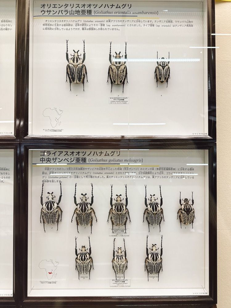 stealthさんが投稿した昆陽池公園に関する口コミの画像