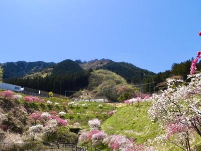 施設画像
