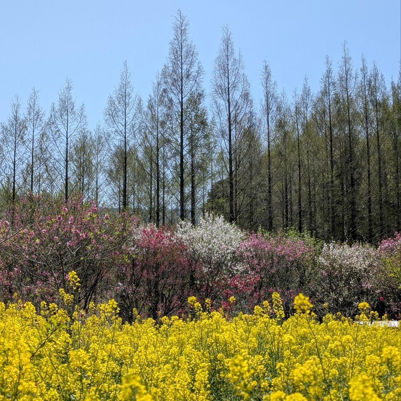 ぬっくさんが投稿した三重県営サンアリーナに関する口コミの画像