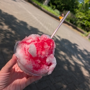 国営武蔵丘陵森林公園 西口売店