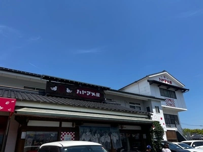 ハトマメ屋