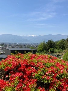 円光院