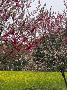 那須千本松牧場