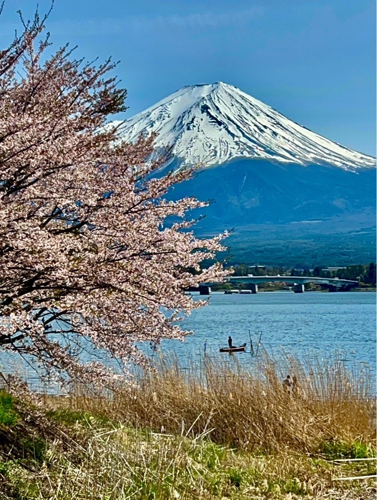 ビンカさんが投稿した河口湖体験工房クラフトパークに関する口コミの画像