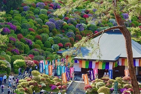 塩船観音寺